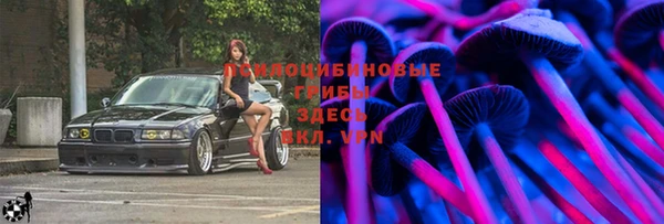 спиды Михайловка