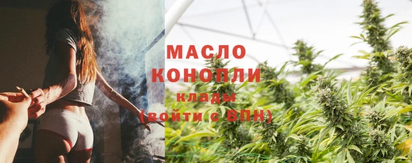 гидра Богданович