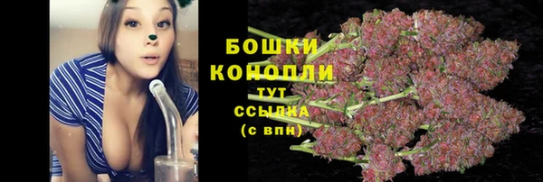 гидра Богданович